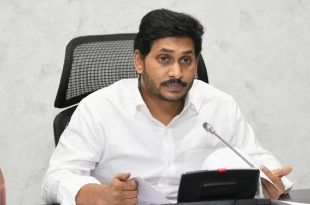good news for contract basis employees in andhra pradesh