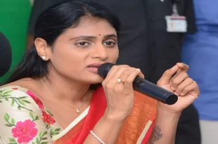 YS Sharmila that we have no alliance with BJP